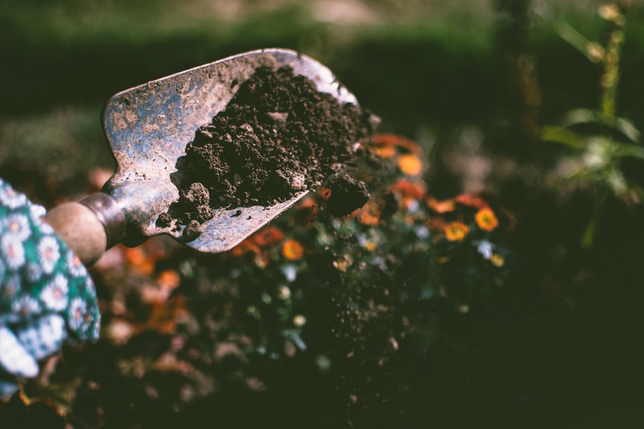 How to start composting: Black gold for beginners